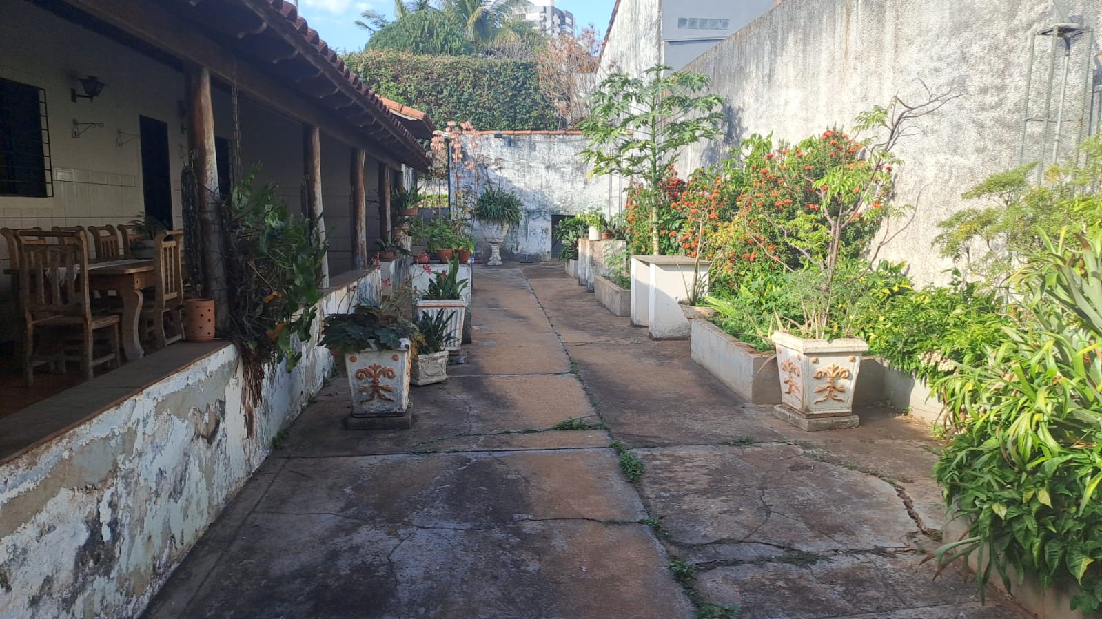 Terreno de 1.080 m² com casa no Bairro Tabajaras | foto 10