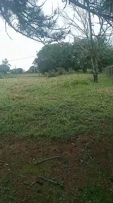 Chácara 5.800 m² nas Chácaras Mansões Aeroporto | foto 3
