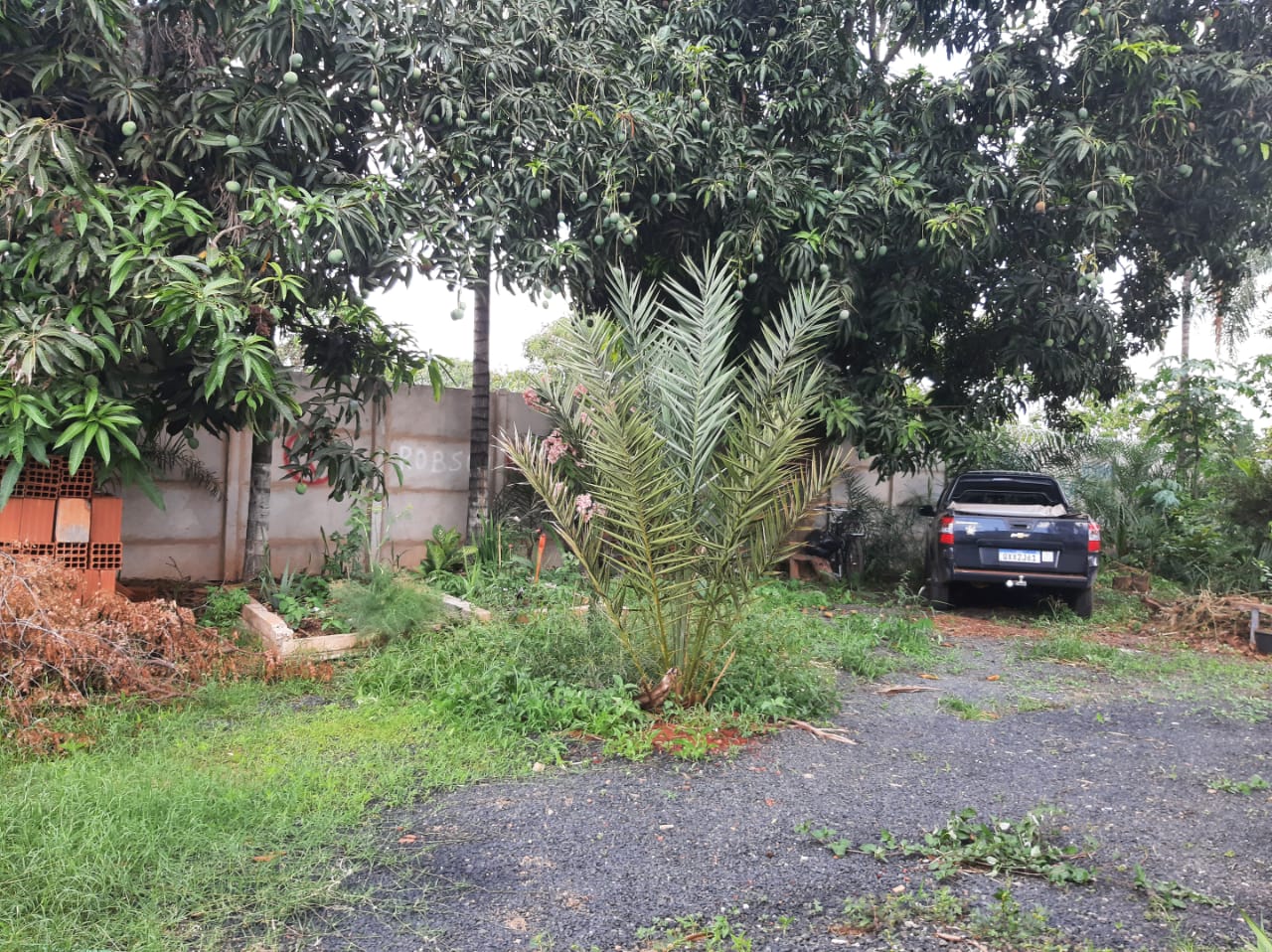Chácara de 1.000 m² no Bairro Morada com duas casas | foto 6