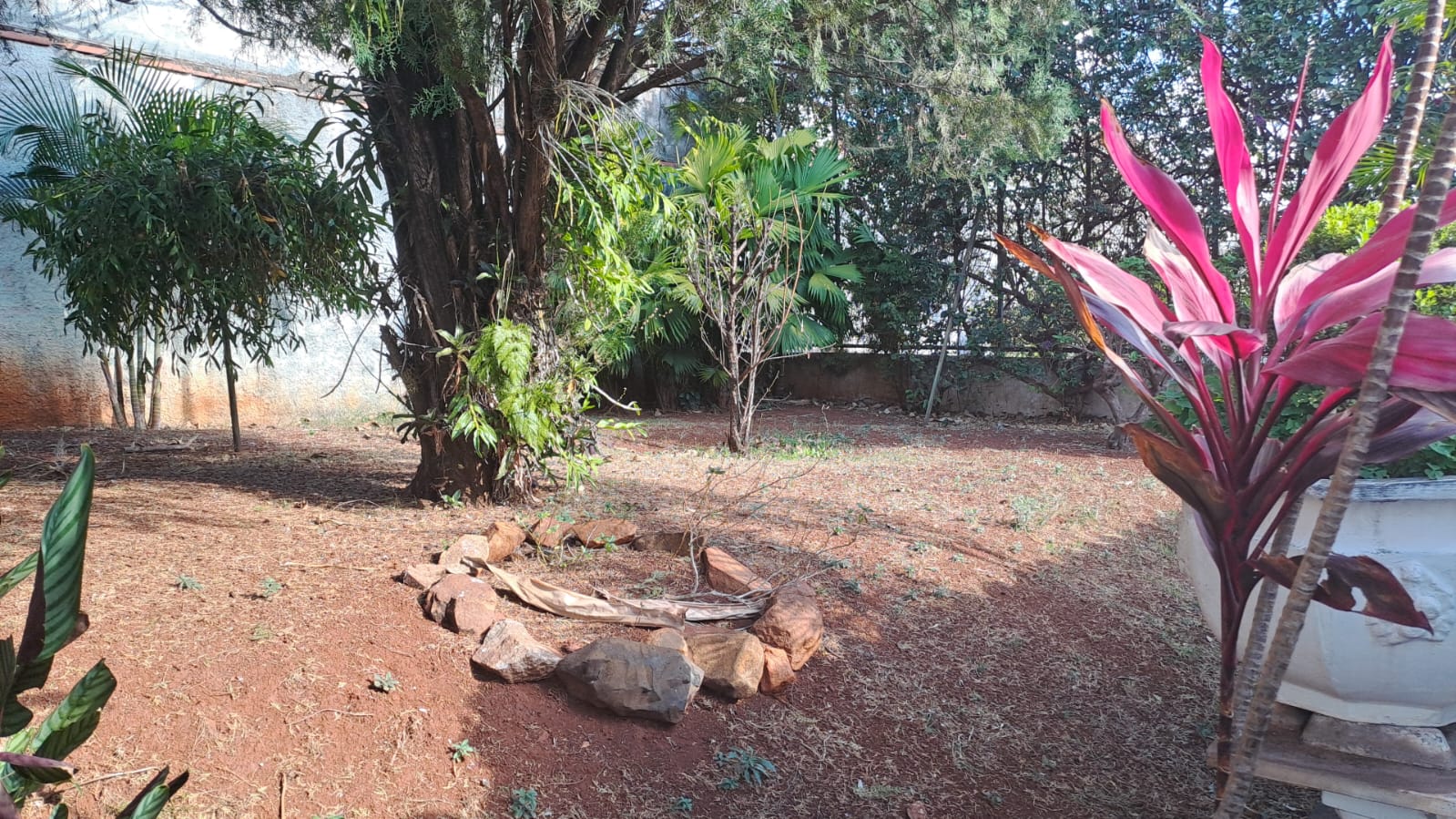 Terreno de 1.080 m² com casa no Bairro Tabajaras | foto 7