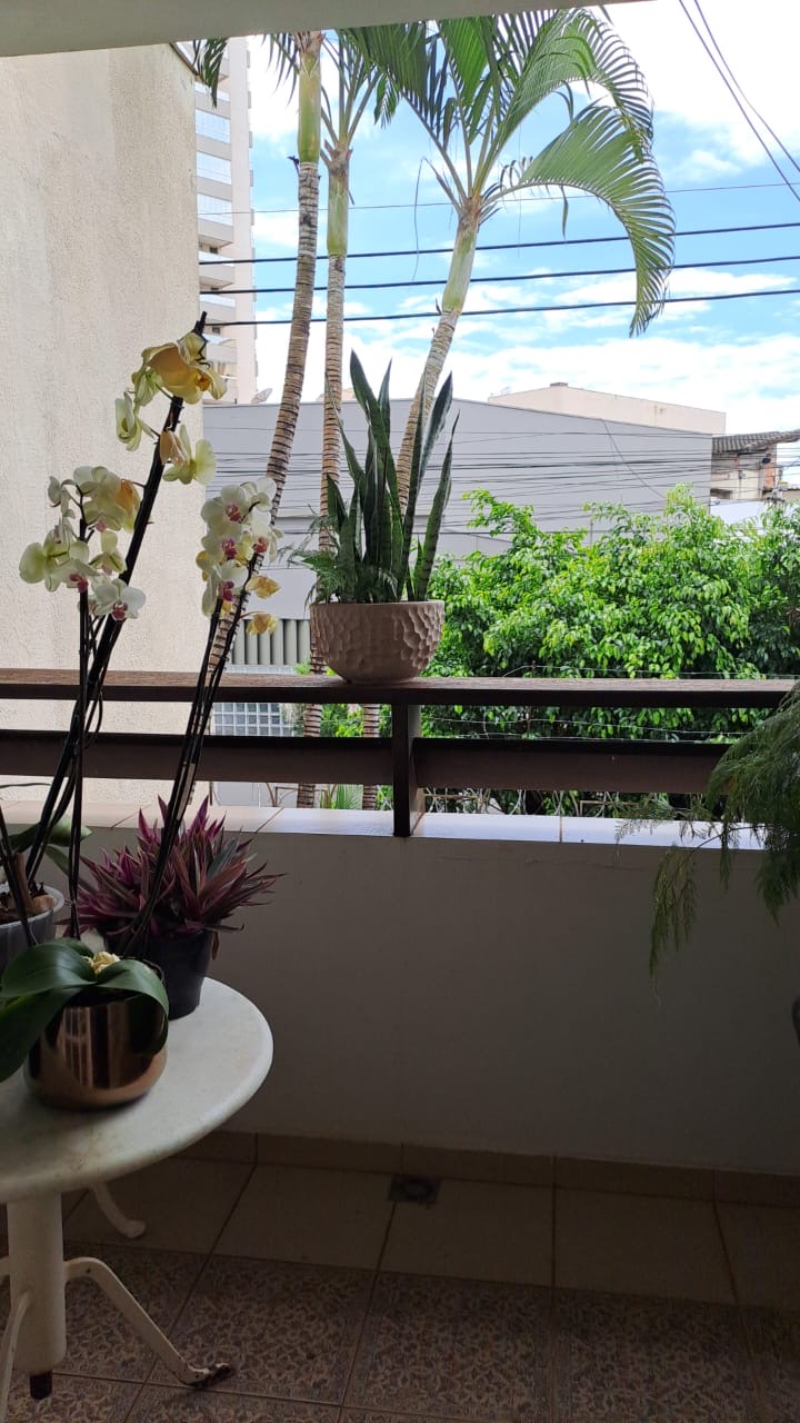 Casa 290 m² com 4 quartos e área gourmet no Centro | foto 9